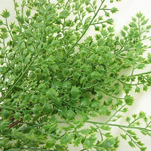 18" Artificial Soft Plastic Fern - Package of 3 (Maidenhair)...