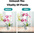 Green Bamboo Stick Plant Pile Indoor Garden Flower Plant Rack is Suitable for Bamboo Garden Stick, Bamboo Label Garden Stick Potted Plants, Crafts...