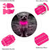 BSEEN Light Up Dog Collars - Rechargeable Glowing LED Dog Collar for Small Dogs & Cats (Pink)...