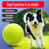 6 Pcs Dog Chew Toys Interactive Dog Toys Interactive Tennis The Rubber Material is Full of Elasticity Suitable for Small and Medium Sized Dogs...