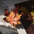 Metal Maple Leaf Fashion Brooch Retro Oil Lapel Pins Thanksgiving Brooch Pin Autumn Fall Leaves Gift Decoration Jewelry Accessory...