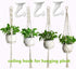 6 Sets White Ceiling Hooks for Hanging Plant, Heavy Duty Swag Toggle Hooks with Hardware (White)...