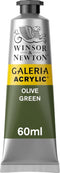 Winsor & Newton Galeria Acrylic Color, 60ml (2-oz) Tube, Olive Green...