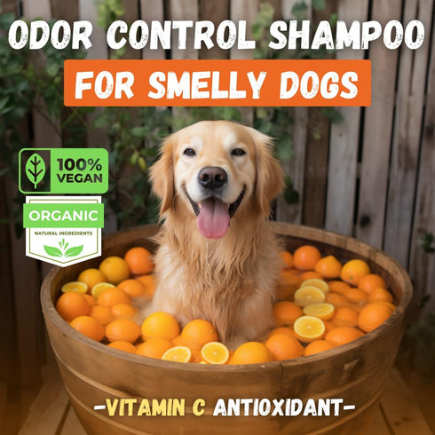 Deodorizing Dog Shampoo for Smelly Dogs | Puppy Shampoo | Organic Pet Shampoo for Dogs | Natural Dog Shampoo Bar | Citrus Essential Oils | Eco-Fri...