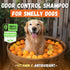 Deodorizing Dog Shampoo for Smelly Dogs | Puppy Shampoo | Organic Pet Shampoo for Dogs | Natural Dog Shampoo Bar | Citrus Essential Oils | Eco-Fri...