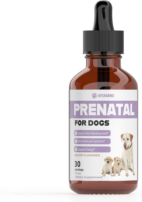 Dog Prenatal Vitamins | Prenatal Vitamins for Dogs | Includes Vitamin B Complex & Vitamin C | Dog Essentials | Whelping Supplies | Prenatal Dog Vi...
