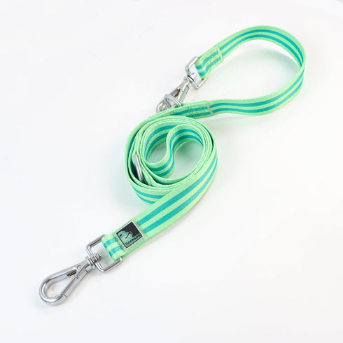 Striped Puppy Dog Leash Personalize Double Leash for Two Dogs for Dog Training Easy Cute Hands Free Leash Dog Leash for Small Dogs Leash for Mediu...