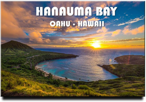 Hanauma Bay State Park Fridge Magnet Oahu Hawaii Honolulu Refrigerator Door Photo Magnet Travel Souvenir...