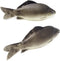 Honbay 2PCS Fake Fish Artificial Sea Fish Model Simulated Animal Fish Playset Model for Kitchen Decor Photography Props Food Display Favor (7.48 I...