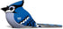 Eugy Blue Jay 3D Puzzle, 26 Piece Eco-Friendly Educational Toy Puzzles for Boys, Girls & Kids Ages 6+...