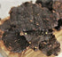 JURASSIC JERKY’S “CREEPING REAPER” Carolina Reaper Beef Jerky The Reaper is the HOTTEST Pepper in the world! Sweet with Heat - (2) 3 oz bags...