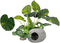 Smoothedo-Pets Aquarium Plants Fish Tank Decorations 6inch Plastic Artificial Plant Goldfish Waterscape Betta Fish Hides/Rest (Leafs/Stone Cave)...