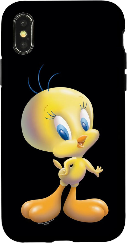 iPhone X/XS Looney Tunes Tweety Bird Airbrushed Case...