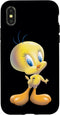 iPhone X/XS Looney Tunes Tweety Bird Airbrushed Case...