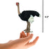 Gemini&Genius Ostrich Animal Action Figure Toys, Ostrich Animal Figurines Jungle Animal Playset Gift, Educational, Cake Toppers, Party Supplies, A...