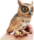 Simulated Owl Model Figure Toy, Realistic Owl Animal Figurines Collection Playset Home Decor Science Educational Props Toys...