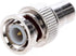 Cctv4Less BNC Male to RCA Female Adapter – Straight Connector for CCTV, Security Camera, Coaxial RG6, TV & Satellite (10)...