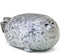 Cute Blob Seal Pillow, Chubby Seal Plush Hug Pillow Soft Stuffed Animal Toy (Gray,11.5")...
