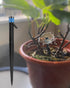 50 Pack Drip Irrigation Emitters Adjustable Irrigation Dripper 360 Degree Full Circle Pattern Water Flow Bubbler with Stake for 1/4 inch Irrigatio...