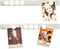 Magnetic Board Frameless Stainless Iron Strips, Magnetic Strips with Adhesive Backing Magnet Board Magnetic Bulletin Bar Board Memo Board with 10 ...