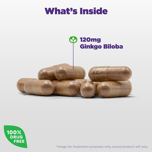 Natrol Brain Health Ginkgo Biloba 120mg, Dietary Supplement for Brain Health and Memory Support, 60 Capsules, 60 Day Supply...
