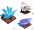 Walnut Crystal Display Stand Rock Display Holder Three-Peg Display Easel Stands for Fossil Coral Geodes Rock Mineral Agate L...