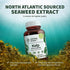 Natural Nutra Kelp Iodine Supplement, Helps Improve Brain Health, Strengthens Immune System, and Regulates Metabolism, Vegan Sea Kelp, Atlantic So...