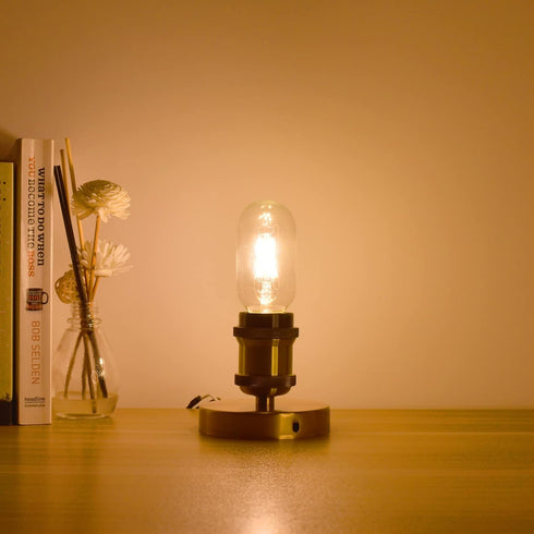 T45/T14 LED Bulb Dimmable, 2W Tubular Light Bulbs 25 Watt Equivalent, Vintage Filament Edison Bulb for Open Style Pendant Lights, E26 Medium Base,...