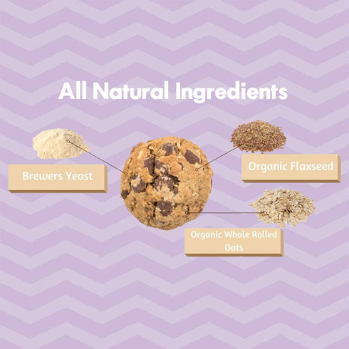 MilkBliss Dark Chocolate Chip Oatmeal Lactation Cookies with Brewers Yeast for Breastfeeding and Breastmilk Supply Increase-12 oz...