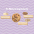 MilkBliss Dark Chocolate Chip Oatmeal Lactation Cookies with Brewers Yeast for Breastfeeding and Breastmilk Supply Increase-12 oz...
