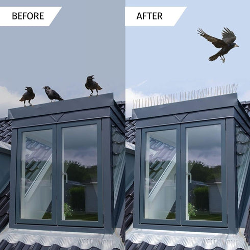 Bird Spikes for Small Birds, Bird Deterrent Spikes Stainless Steel Pigeon Spikes for Fence Roof Mailbox Window (5Ft 6 Strips(Uninstalled Spikes))...