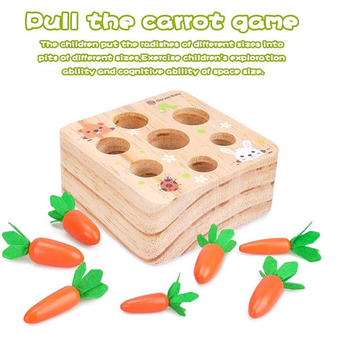 Wooden Educational Toys for 1 2 3 Year Old Boys Girls, Carrots Harvest Montessori Shape Size Matching Game for Fine Motor Skill Preschool Learning...