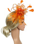 Song Qing Women's Fascinator Feather Flower Hair Clip Pin Brooch Corsage Bridal Hairband Derby Hat Cocktail Party Wedding...