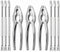 Seafood Crackers Tools Nutcrackers tools, Crab Nut Lobster Crackers Opener Shellfish Lobster Leg Sheller Kitchen Kits Pack of 9...