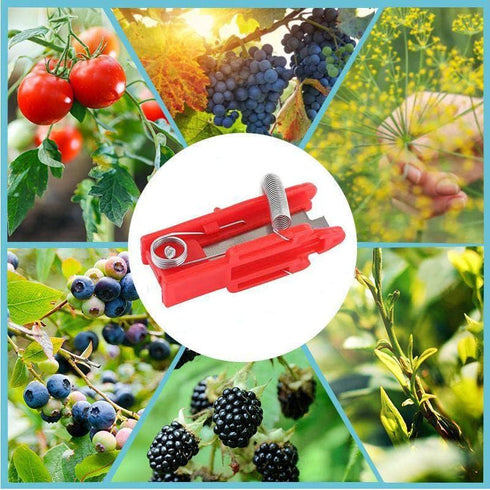 3 Pack Multifunctional Gardening Thump Knife Garden Cutter Finger Fruit Picker Hand Pruner for Vegetable Trimming Separator Harvesting Picking Far...