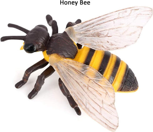 Bee Growth Cycle, Animal Growth Cycle Biological Model, Growth Stage Lifelike Bee Life Cycle Model Set for Kids Education Insect Themed Party Favo...