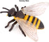 Bee Growth Cycle, Animal Growth Cycle Biological Model, Growth Stage Lifelike Bee Life Cycle Model Set for Kids Education Insect Themed Party Favo...