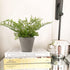 Briful 2PCS Fake Plants Potted Artificial Plants Greenery Faux Fern Eucalyptus Décor Plant for Indoor Home Office Bathroom Harmhouse Decoration...