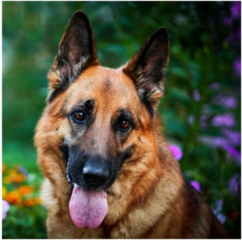 YaYiYo DIY Diamond Painting Kits, German Shepherd Animal Pattern Art Rhinestone Crystal Embroidery Diamond Cross Stitch for Children, 30 x 30 cm (...