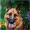 YaYiYo DIY Diamond Painting Kits, German Shepherd Animal Pattern Art Rhinestone Crystal Embroidery Diamond Cross Stitch for Children, 30 x 30 cm (...