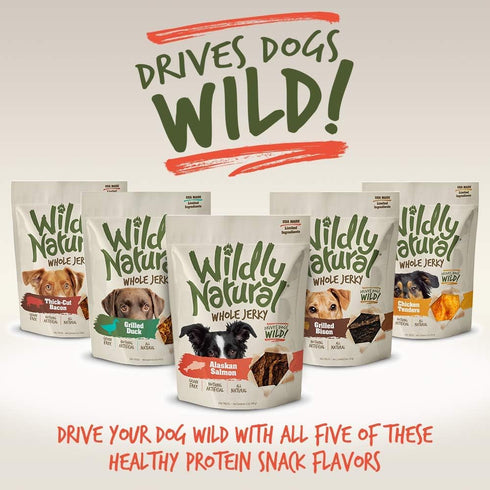 Whole Jerky Dog Treats | Limited Ingredient, Made in USA Jerky | Grain Free & Nothing Artificial | Alaskan Salmon, 5 oz...