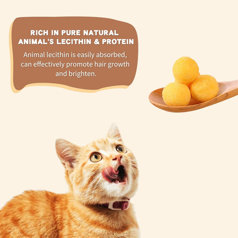 Freeze Dried Cat and Dog Treats, Limited Ingredient Quail Egg Yolk Healthy Tasty Snacks for Training (4.6 Ounce)...