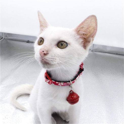 Dogs Kingdom Dog Cat Collar with Bell and Cat Buckle,Japanese Flower Breakaway Pet collar for Cats Kittens Puppy Red S:6.6-10.6" Neck...