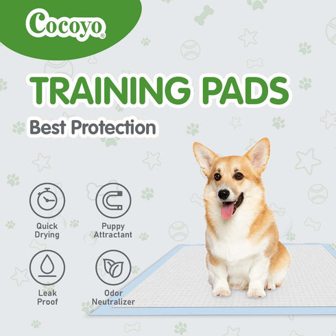 COCOYO Best Value Dog Training Pads | Dog Pee Pads | Super Absorbent Puppy Pads (17.5" x 23.5", 100 Count),Blue...