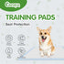 COCOYO Best Value Dog Training Pads | Dog Pee Pads | Super Absorbent Puppy Pads (17.5" x 23.5", 100 Count),Blue...