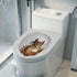 1Pcs 3D Cartoon Squirrel Toilet Sticker Creative Squirrel Toilet Lid Decal Funny Toilet Seat Lid Sticker Novelty Toilet Seat Decals Waterproof Sel...