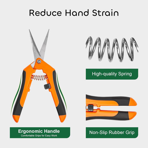 GROWNEER 3 Packs 6.5 Inch Pruning Shears Gardening Hand Pruning Snips Gardening Scissors with Straight Stainless Steel Precision Blades...