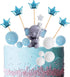 Newmemo Elephant Cake Toppers Balls Cake Decorations with Mini Elephant Blue Crown Cake Picks for Boy Girl Baby Shower Birthday Party Decorations...