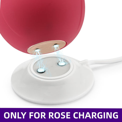 Rose Replacement Charger, 12mm Magnetic Standing Dock Station Fast Charging USB Cable for Rose Only -2.5Ft...