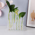 15x150mm Glass Test Tubes with Cork Stoppers 20 ml, 20 Pack Plant Propagation Tubes, Small Clear Test Tubes for Shots, Ants, Lab, Scientific Exper...